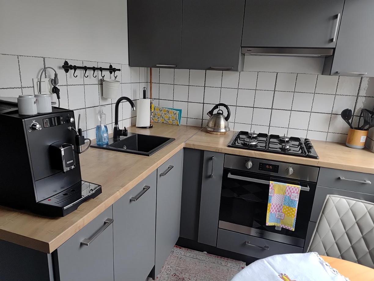 Wygodny Apartament W Srodmiesciu Gdanska Kültér fotó